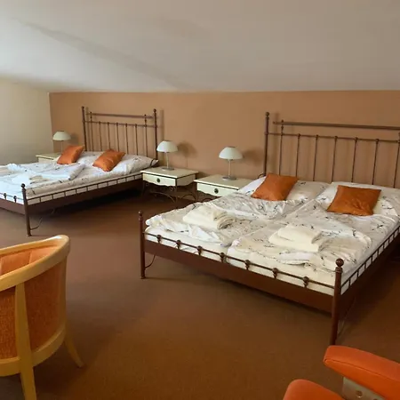 Patriot Litoměřice