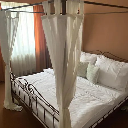 Hotel Patriot Litoměřice
